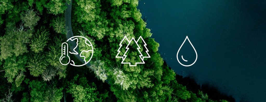 contentImage-33 image representing sustainability showing trees in the background and ecological symbols